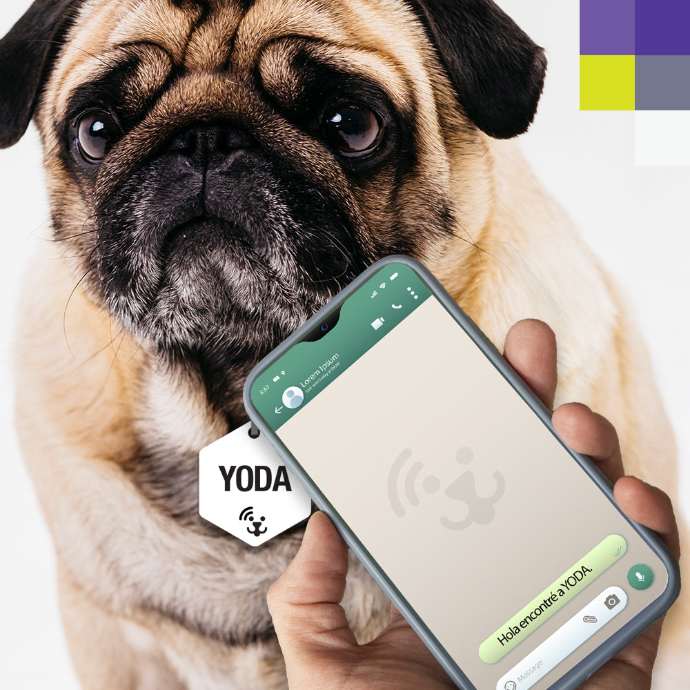 Placa inteligente SCANME / NFC / WhatsApp