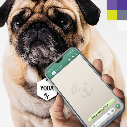 Placa inteligente SCANME / NFC / WhatsApp